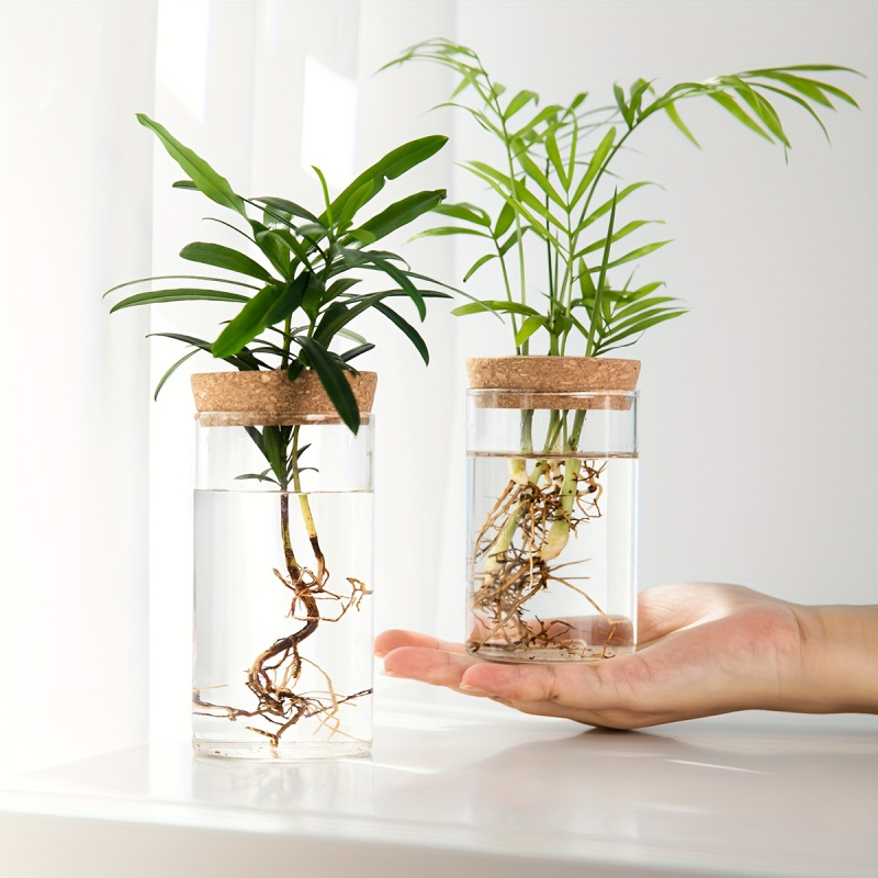 Propagation Station Vase - 家の装飾のための水耕植物の花瓶、デスクトップガラスプランター、植物の繁殖ステーション、花瓶のつぼみ、1個