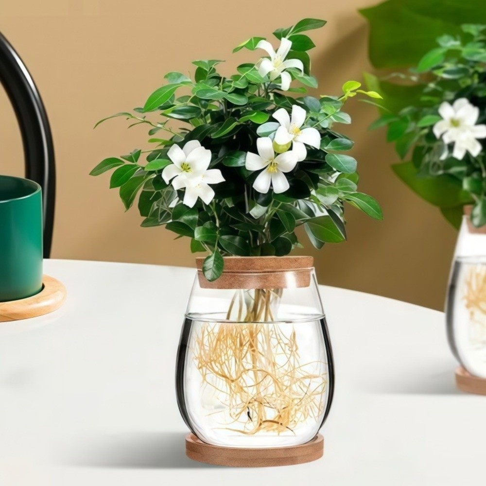 Propagation Station Vase - 透明な水耕栽培用植木鉢、木製トレイ付きガラス製植物繁殖ステーション、装飾的な卓上植物花瓶、ミニチュア風景
