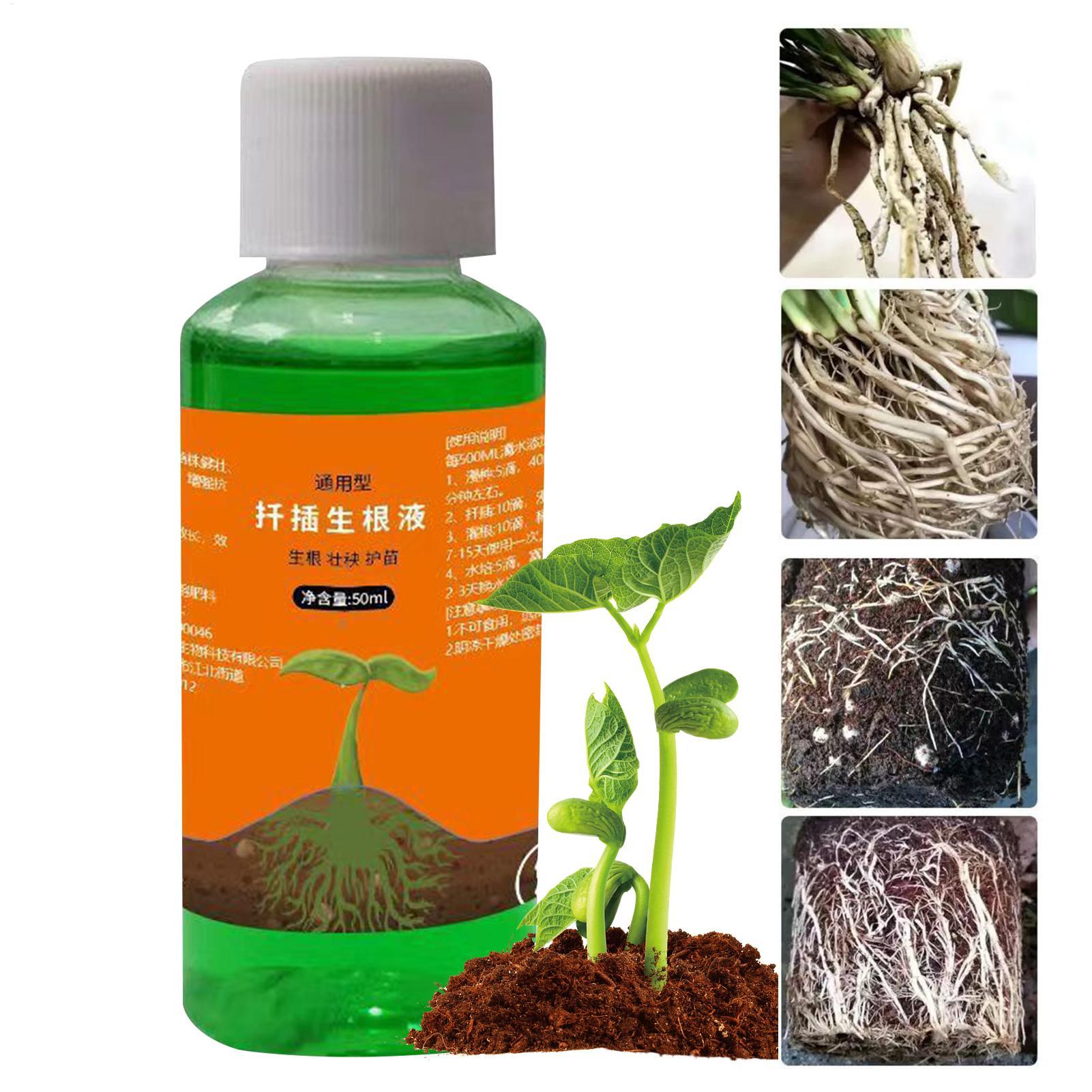 Root Stimulator Liquid - 50ml移植栄養液 植物急速発根液 根刺激剤 切り花用 バラ用 強力発根