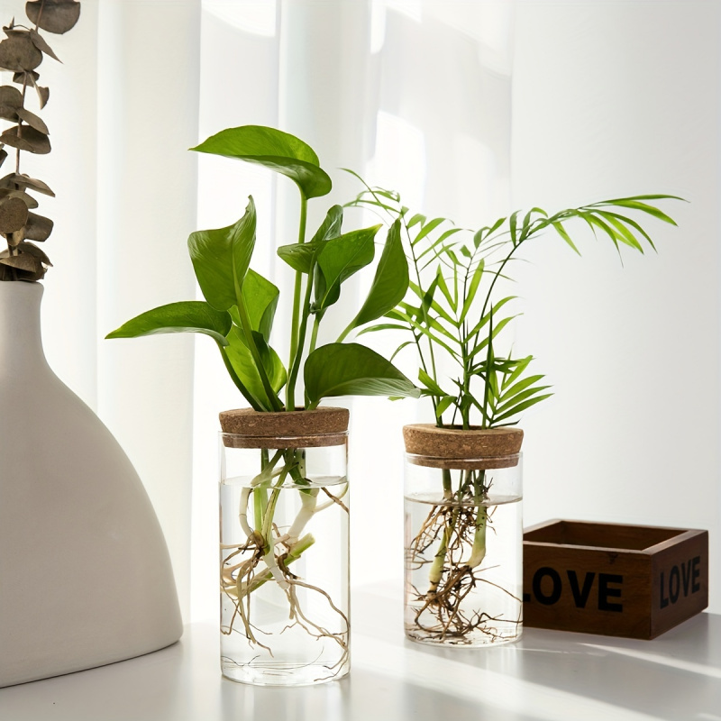 家の装飾のための水耕植物の花瓶、デスクトップガラスプランター - Propagation Station Vase のレビューと価格