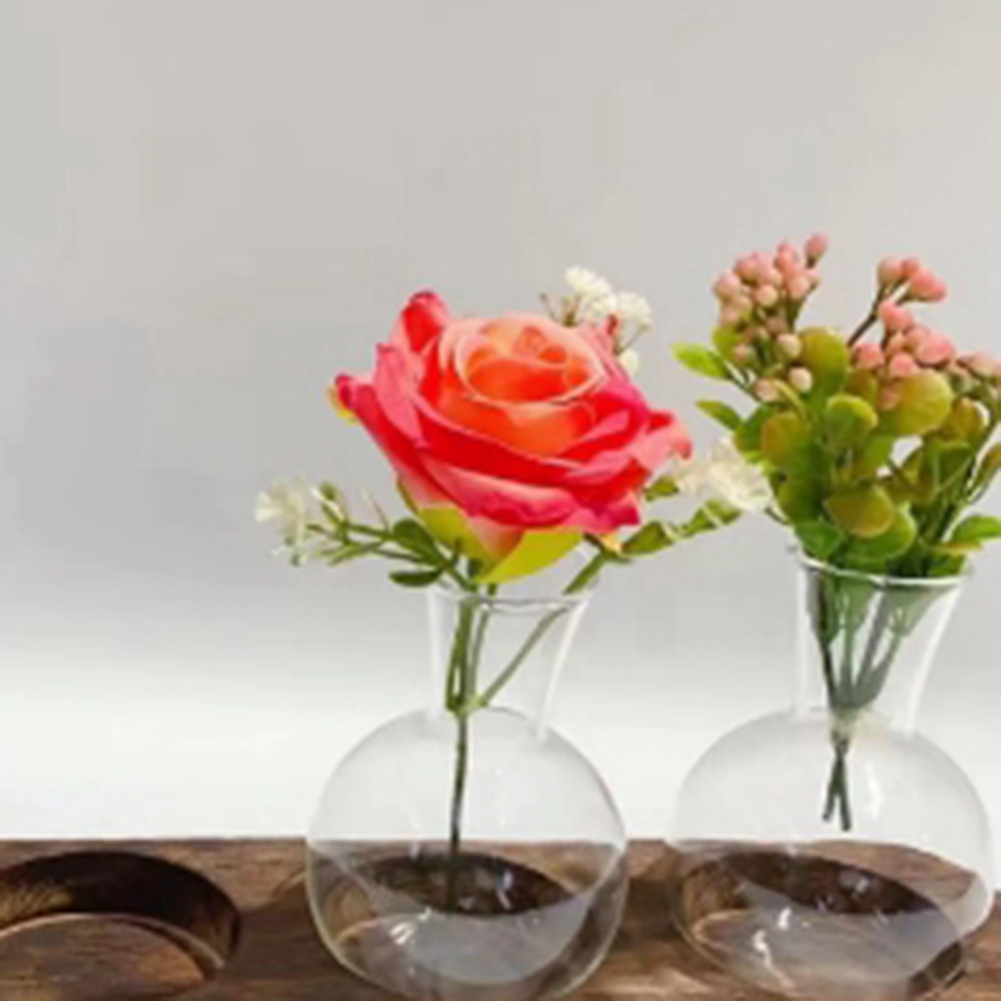 75STO-水耕植物花瓶ヴィンテージ繁殖ステーションガラス透 - Propagation Station Vase のレビューと価格