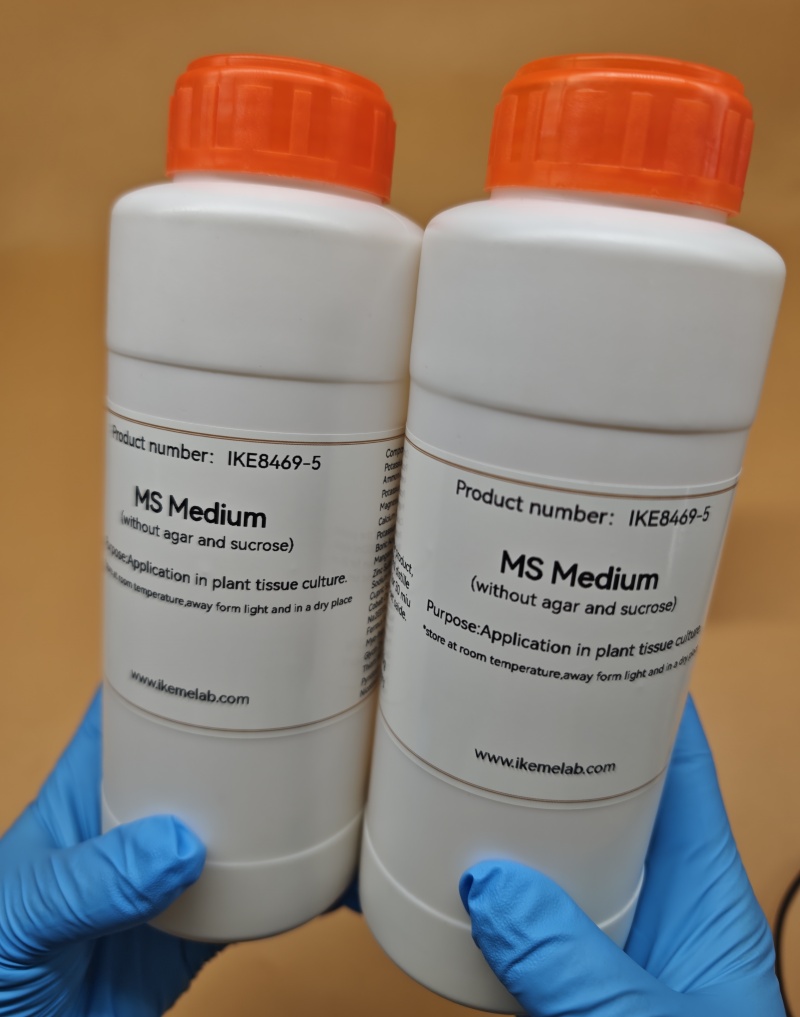 IKEME Lab MS 中 250g 寒天と砂糖なし 植物 - Agar Tissue Culture のレビューと価格