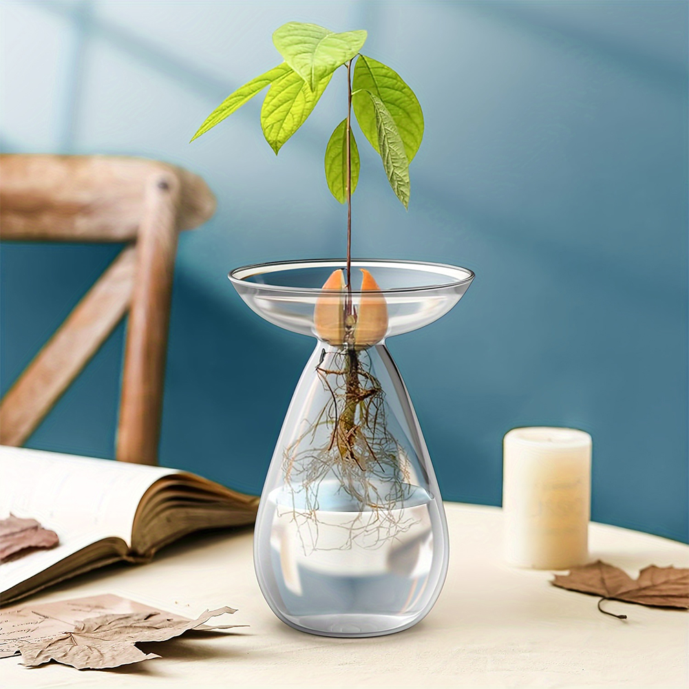 アボカド種子スターターベース 透明な植物繁殖ステーション ガ - Propagation Station Vase のレビューと価格
