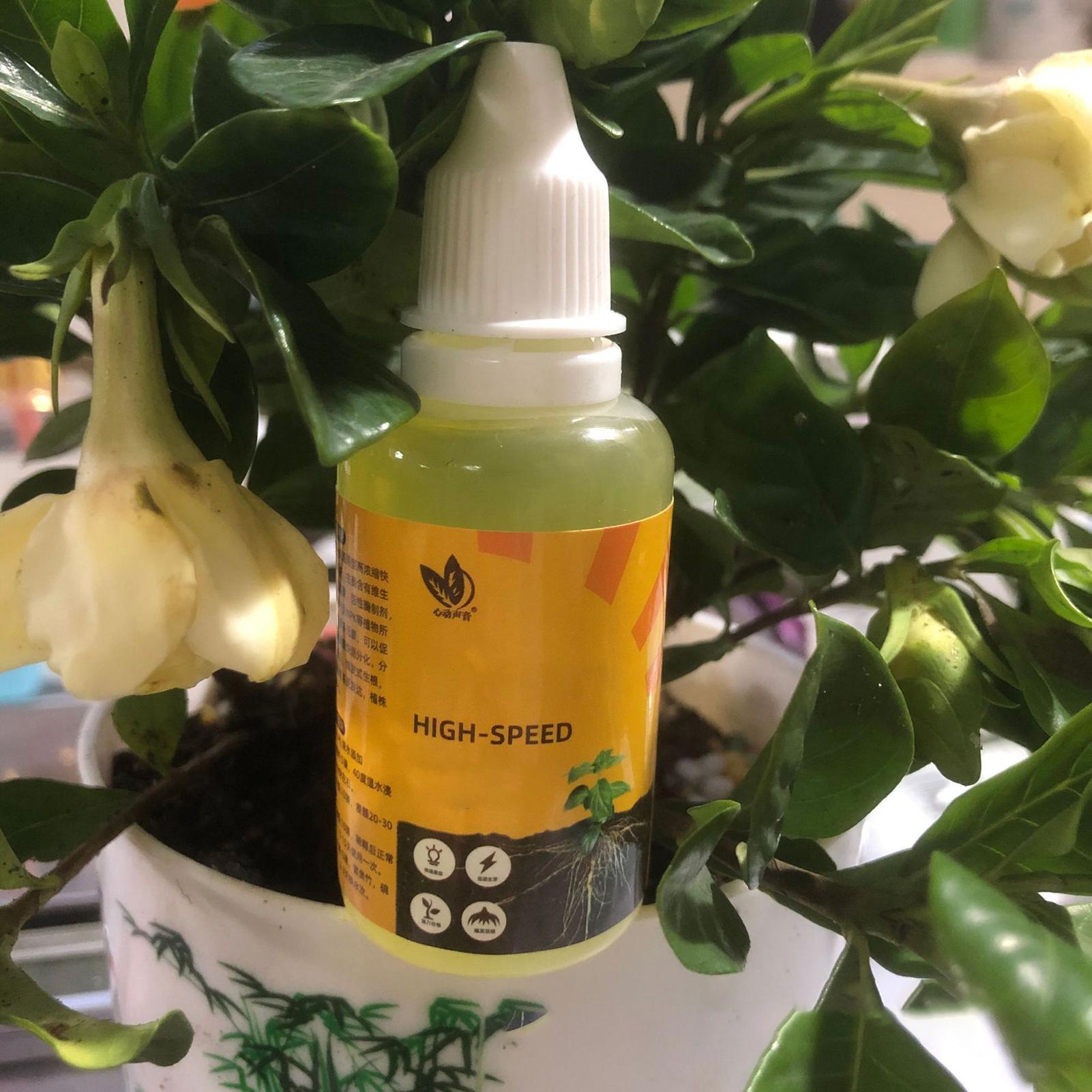 50ml 植物発根促進剤 液体植物発根促進剤 液体急速発根剤 - Root Stimulator Liquid のレビューと価格