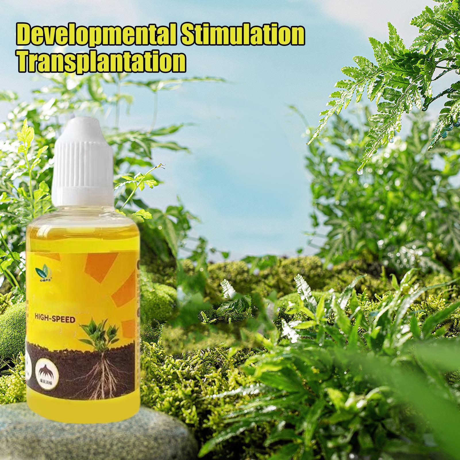 植物復活液 50 ミリリットル花果物野菜肥料栄養液蘭肥料植物 - Root Stimulator Liquid のレビューと価格