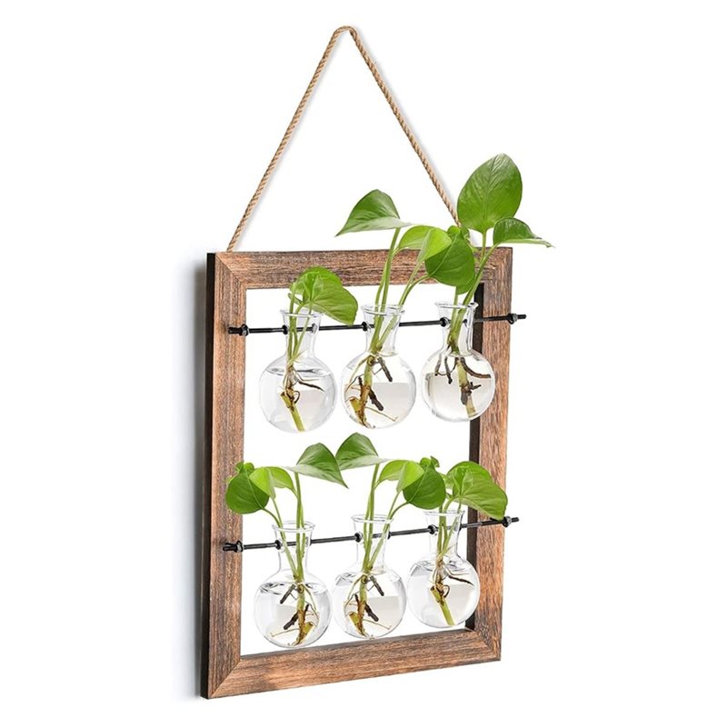 壁掛け式繁殖ステーション、水耕栽培植物用吊り下げガラス製テラ - Propagation Station Vase のレビューと価格