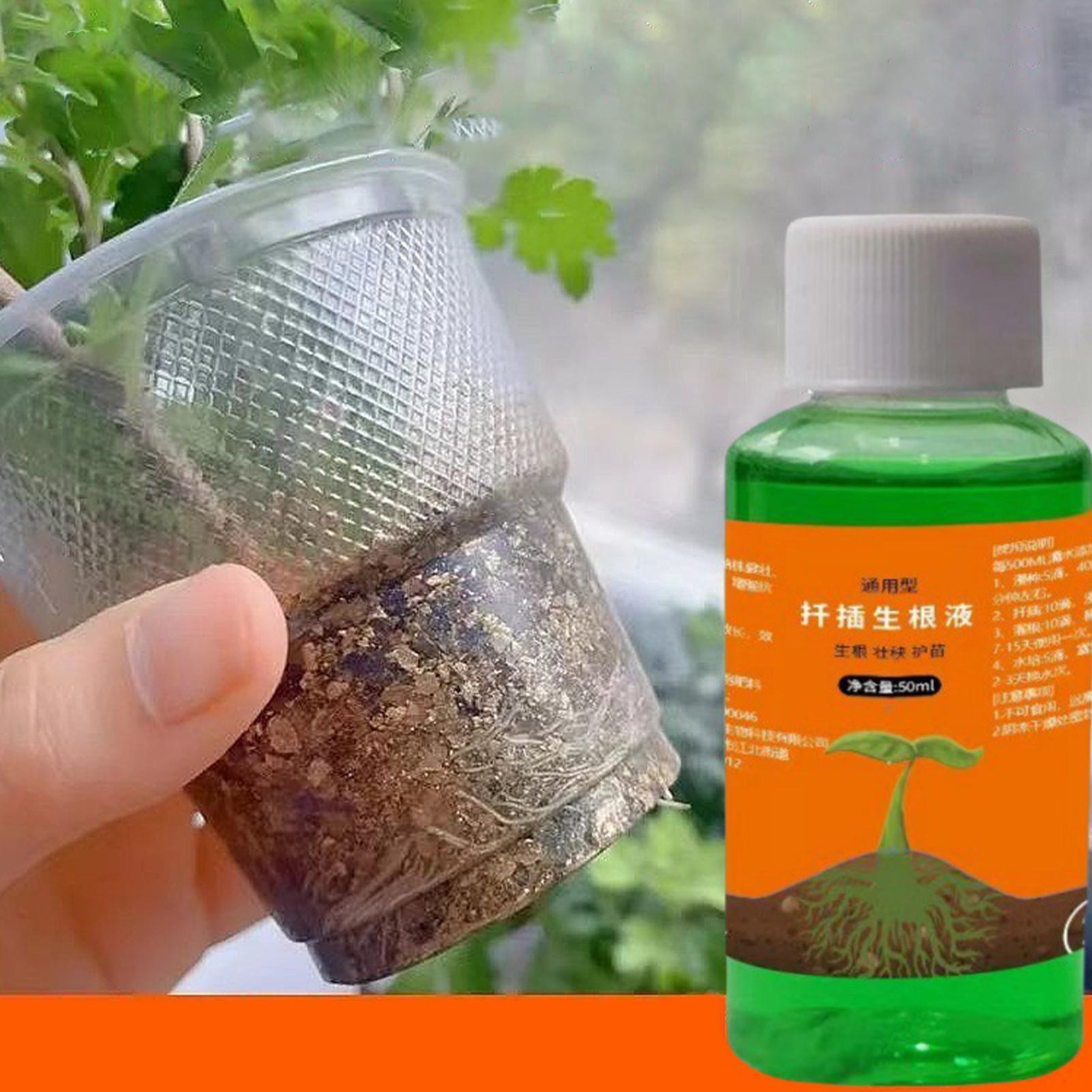 50ml移植栄養液 植物急速発根液 根刺激剤 切り花用 バラ - Root Stimulator Liquid のレビューと価格
