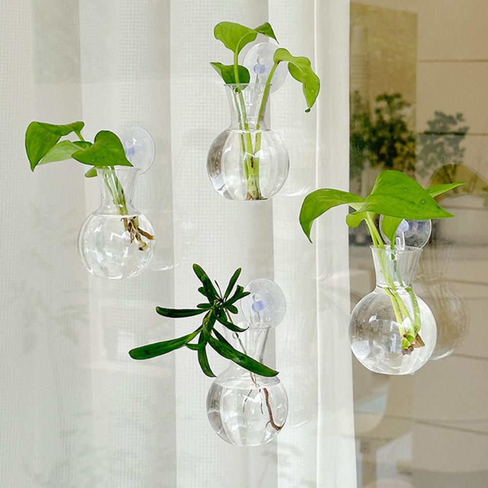 1/2/3/4/6/8個入り植物繁殖用バルブ、吸盤付き透明繁 - Propagation Station Vase のレビューと価格
