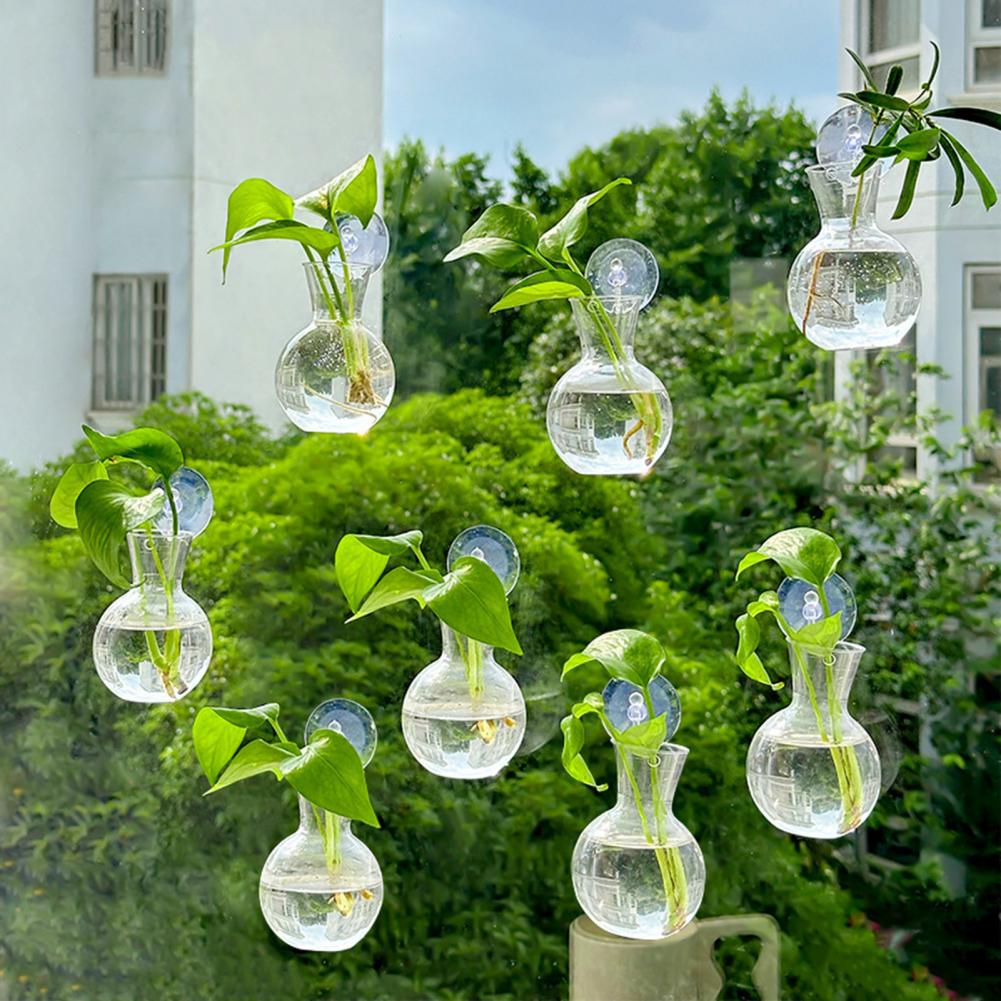 1/2/3/4/6/8個入り植物繁殖用バルブ、吸盤付き透明繁 - Propagation Station Vase のレビューと価格