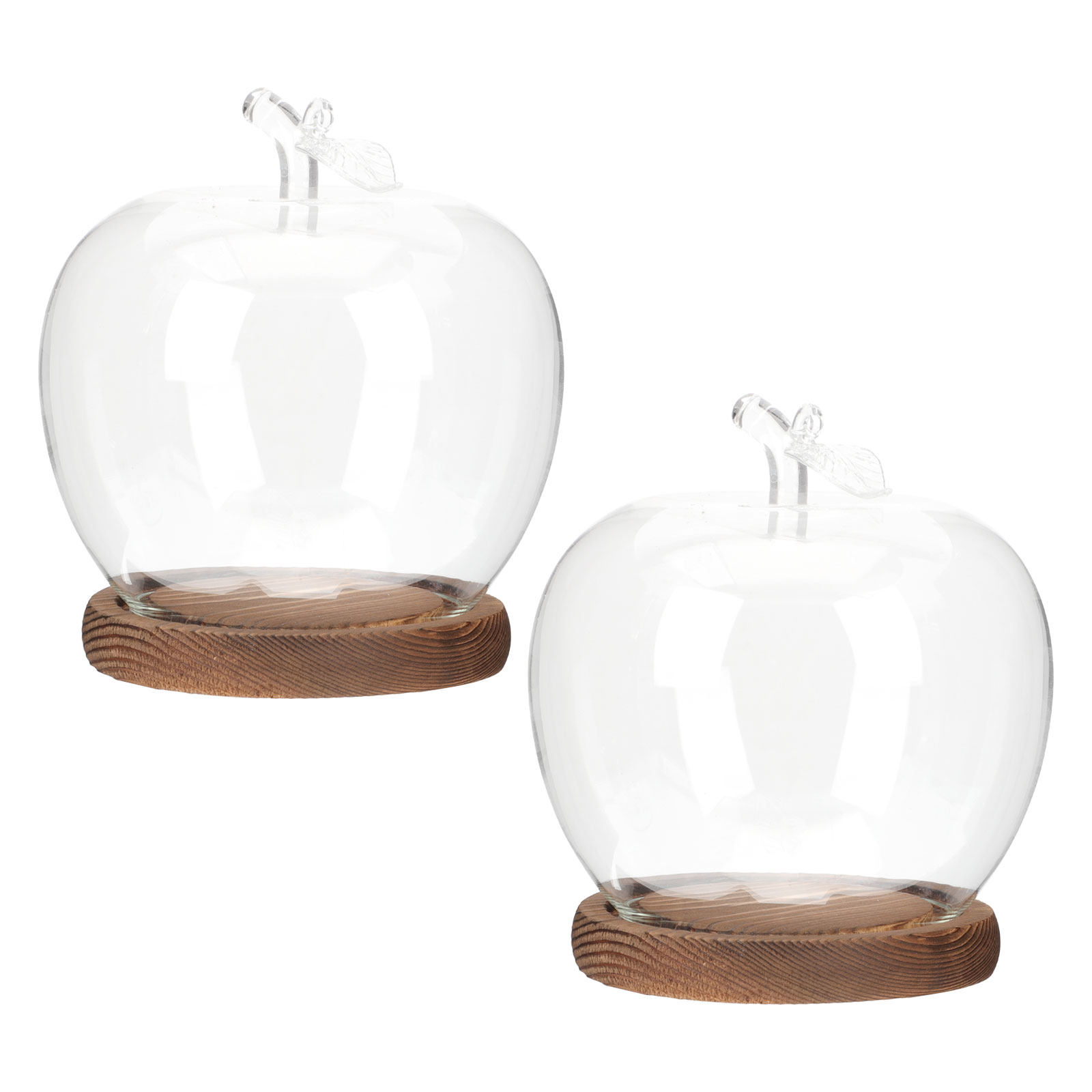 2個セット ガラス製クローシェドーム 木製ベース付き 透明デ - Plastic Dome Clear のレビューと価格