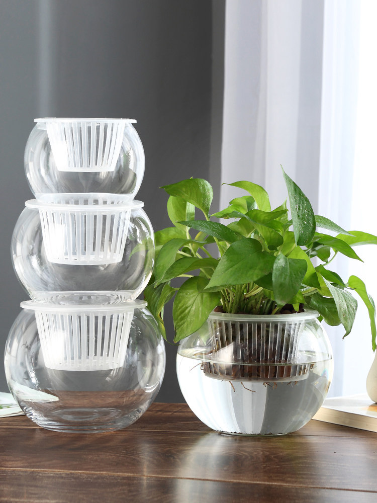 水耕栽培用ガラス花瓶 グリーンディル用花瓶 家庭やオフィスの - Propagation Station Vase のレビューと価格