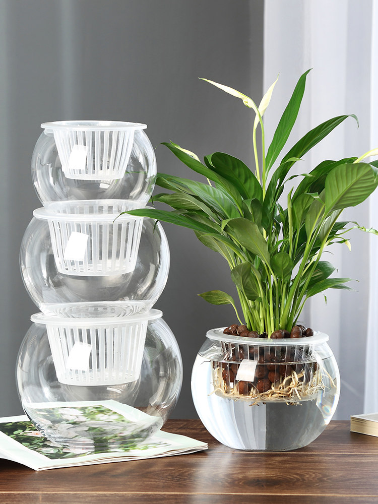 水耕栽培用ガラス花瓶 グリーンディル用花瓶 家庭やオフィスの - Propagation Station Vase のレビューと価格